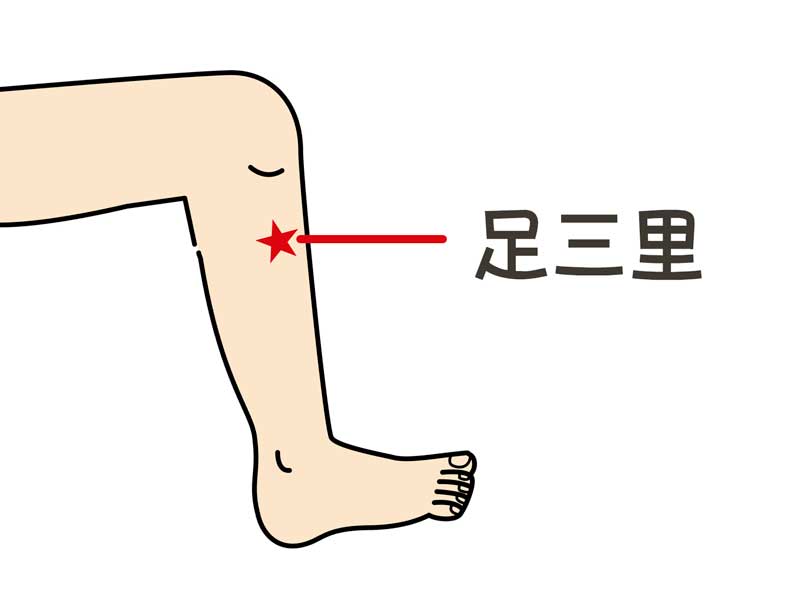 足三里のつぼのイラスト