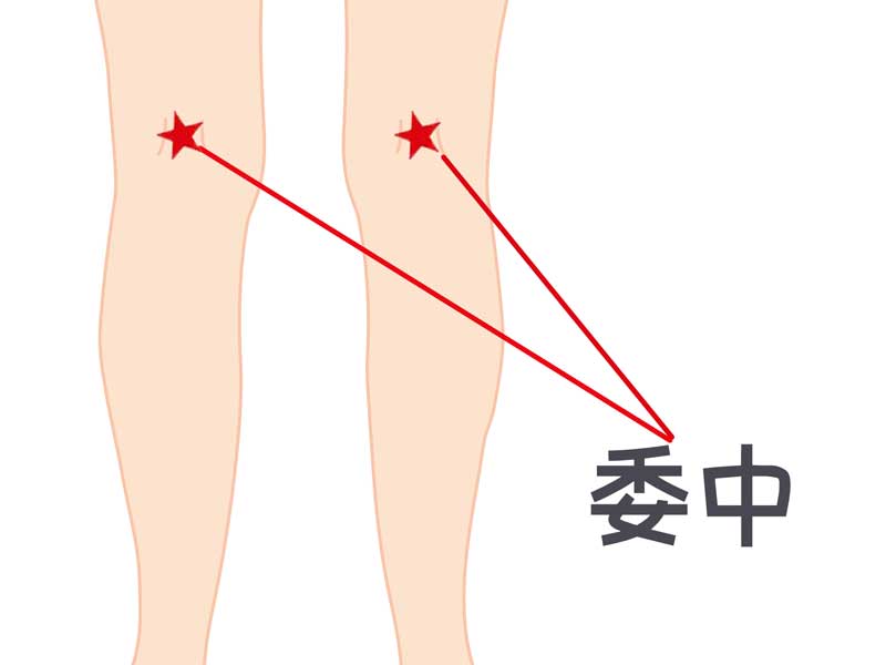 委中のつぼのイラスト