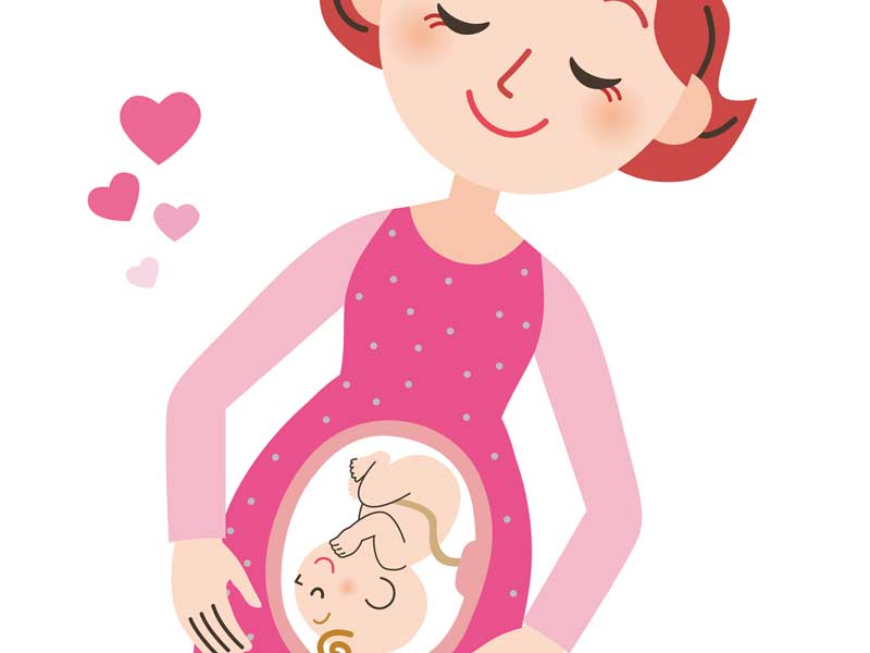 妊婦のお母さんとお腹の赤ちゃんのイラスト