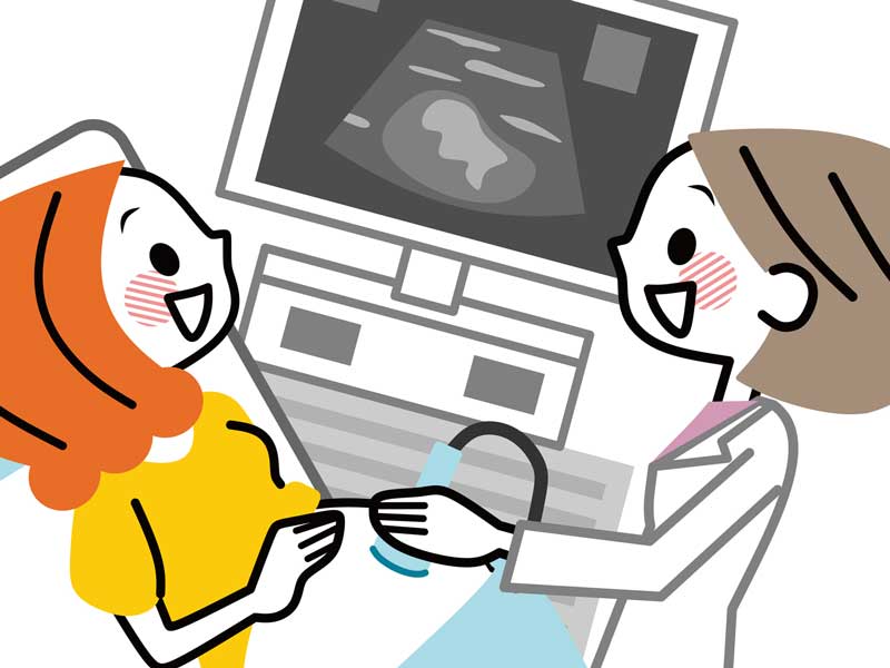 エコー検査をしている妊婦さんのイラスト