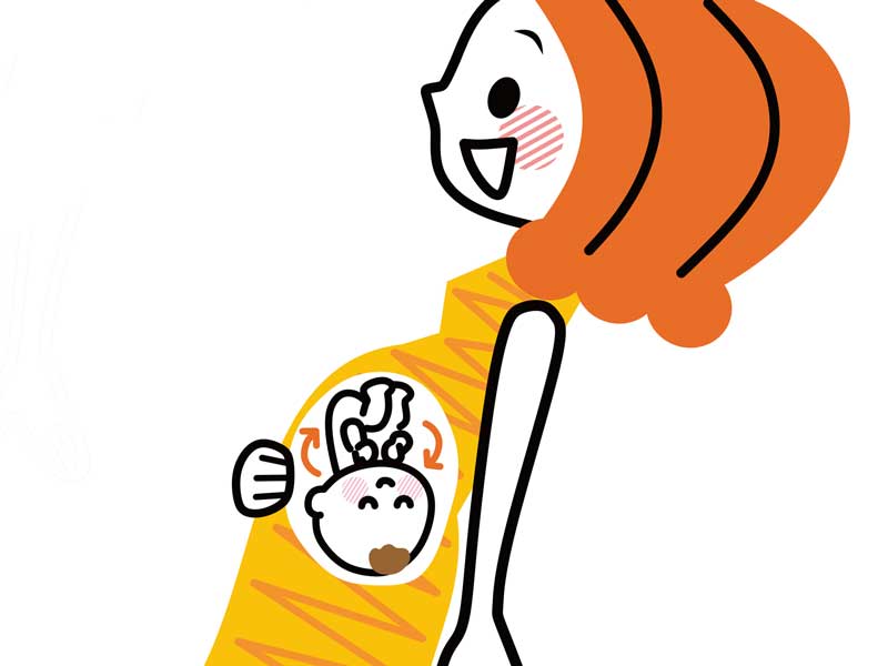 妊婦さんとお腹の赤ちゃんのイラスト