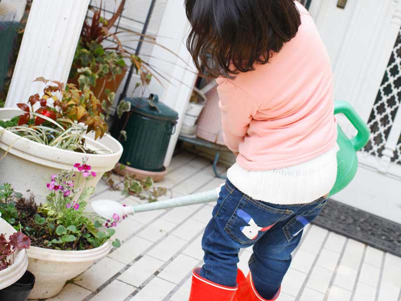 植木鉢に水やりする女の子