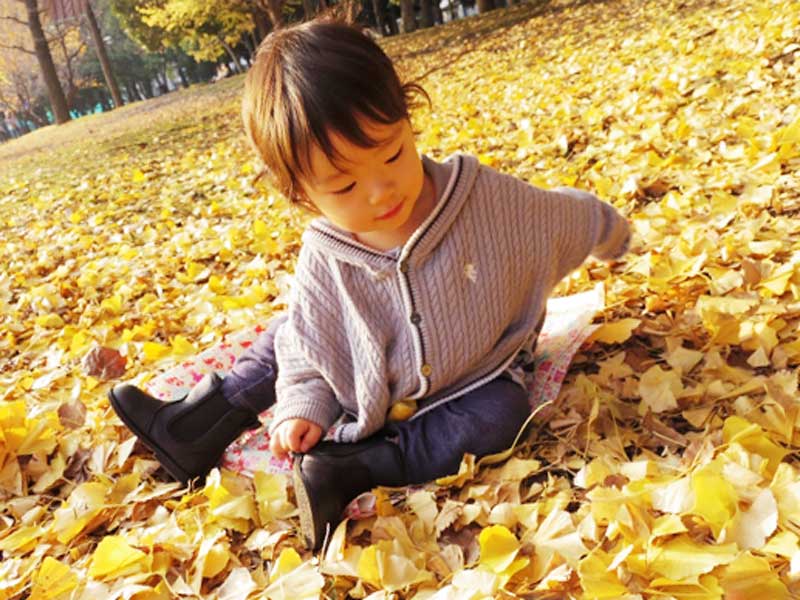 銀杏を拾う子供