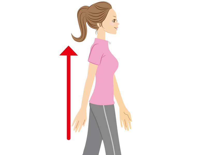 正しい姿勢の女性のイラスト