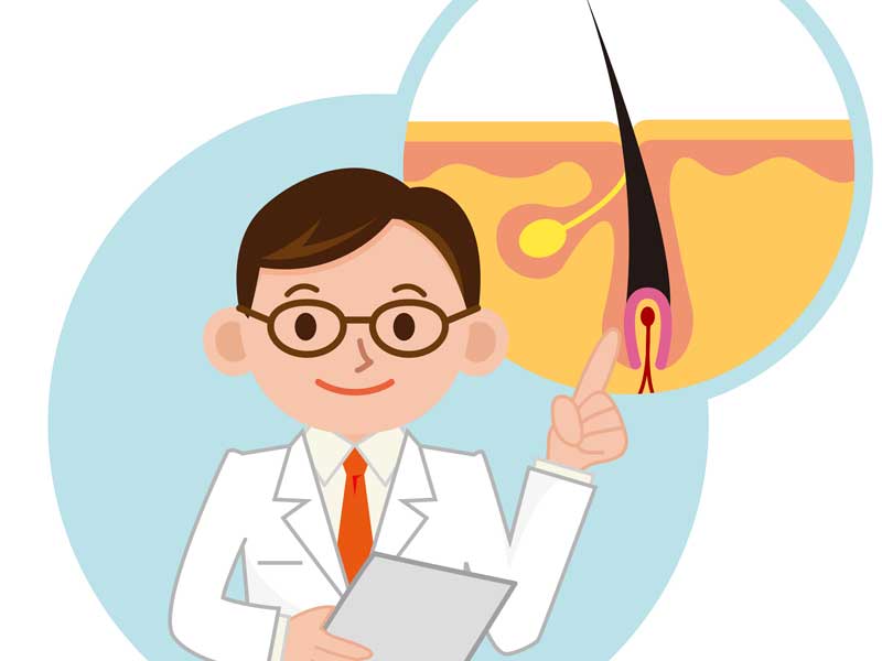 毛根の説明をしている医師のイラスト