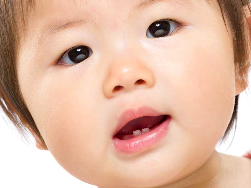 乳歯が生え初めの赤ちゃん