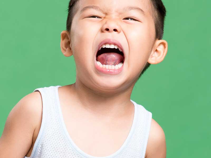 乳歯が生え終わった男の子