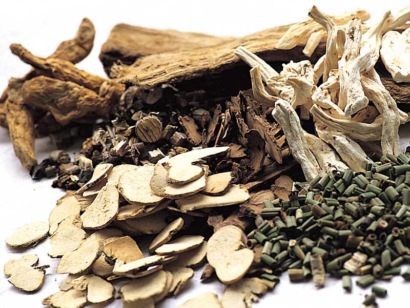 漢方薬の薬草
