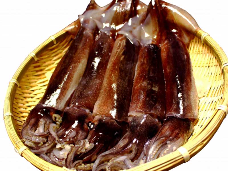 甲殻類アレルギーの原因になるいか