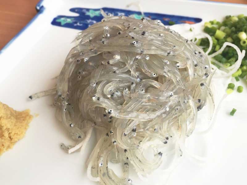 生しらす