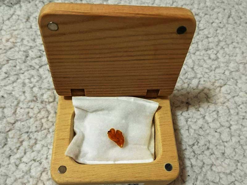 赤ちゃんのへそが入っている桐の箱