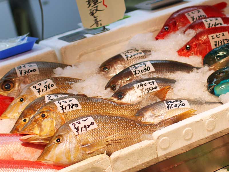 魚市場