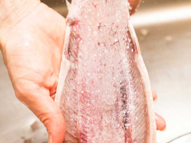 魚を洗うお母さんの手