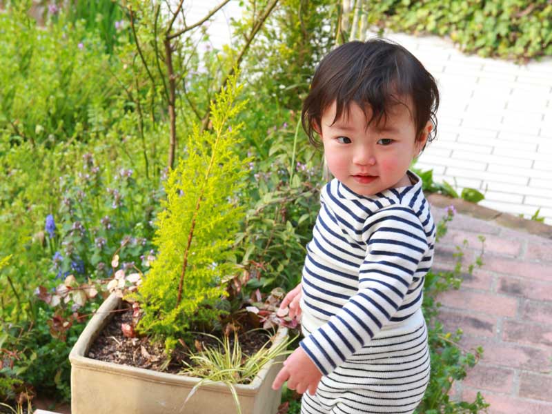 庭で遊ぶ幼児