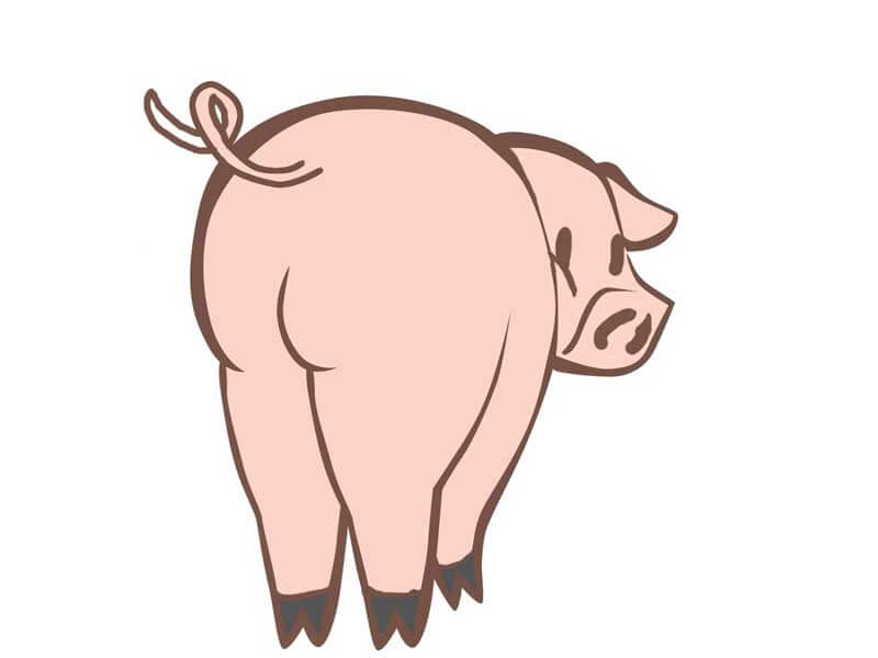 豚のイラスト