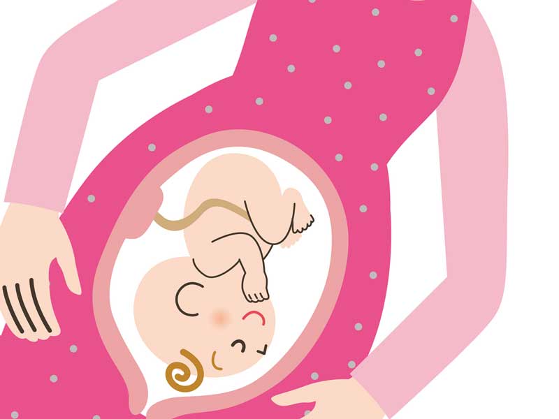 ママのお腹の中にいる赤ちゃんのイラスト