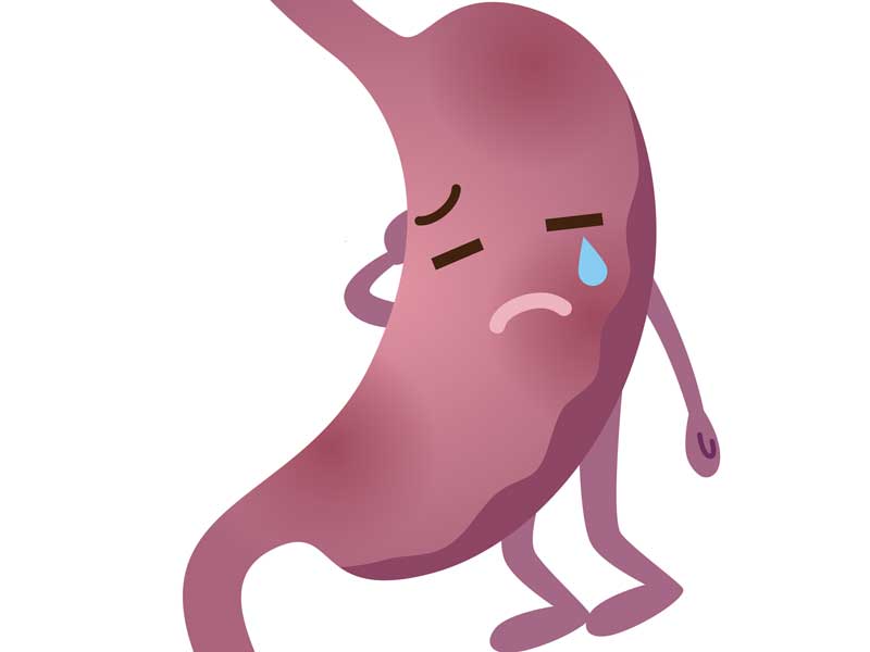 胃のイラスト