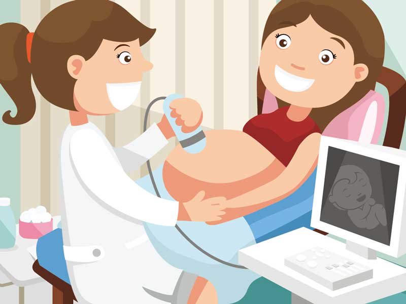 病院で妊婦健診を受けている妊婦さんのイラスト