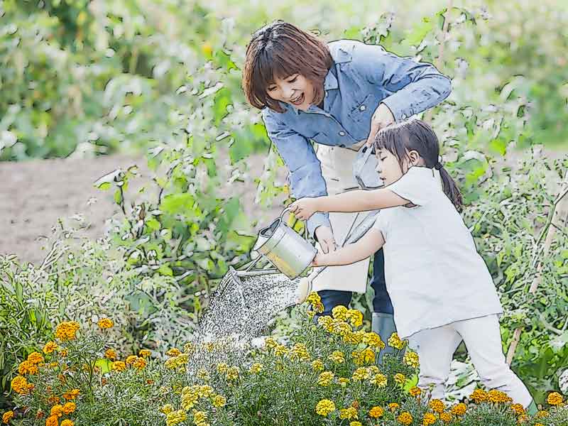 花に水やりする親子