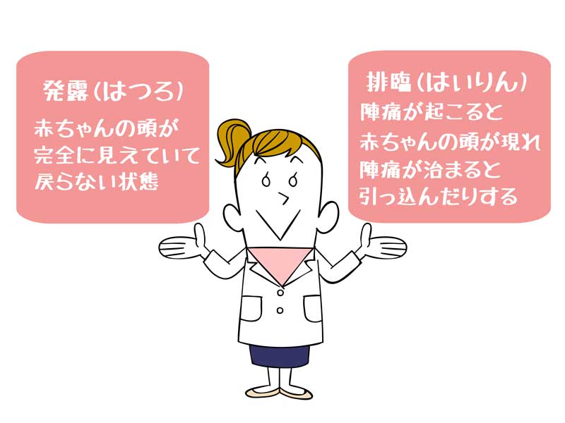 医師のイラスト