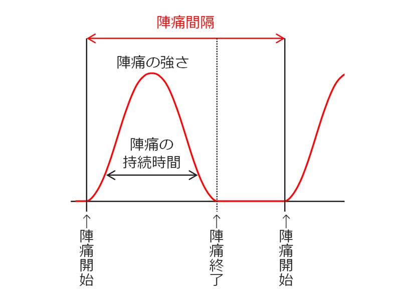陣痛間隔のイラスト