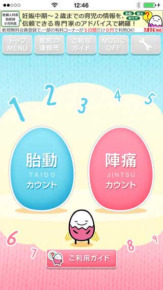 たまひよの胎動陣痛カウンター(サイト画面キャプチャ)
