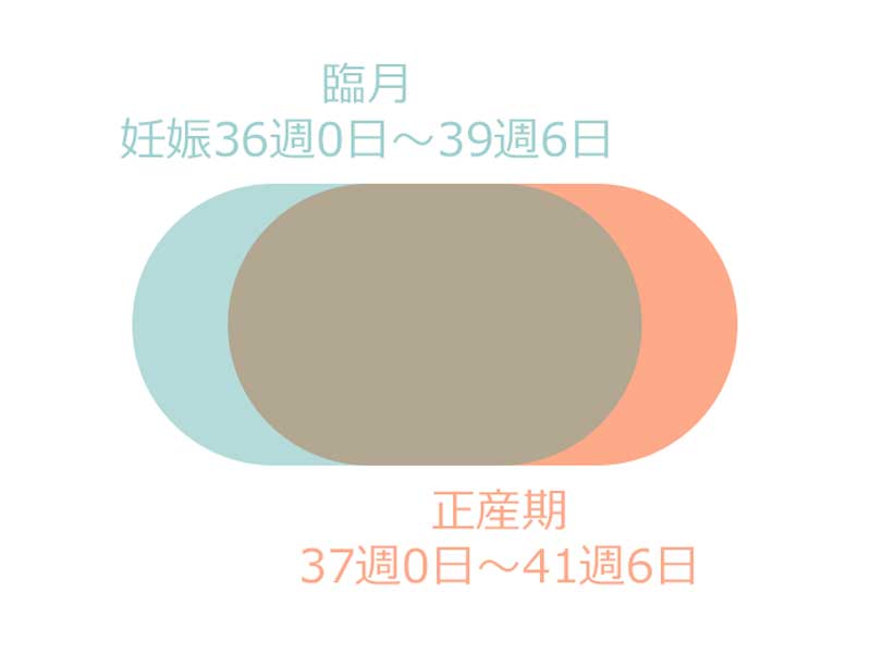 臨月と正産期の期間を表したイラスト