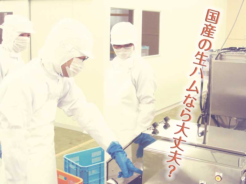 日本の食品工場