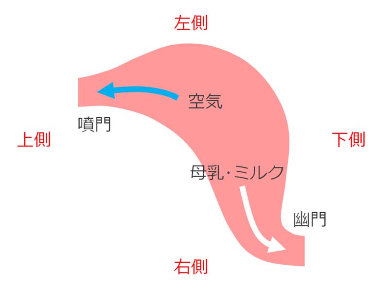 ゲップ出やすい胃のイラスト