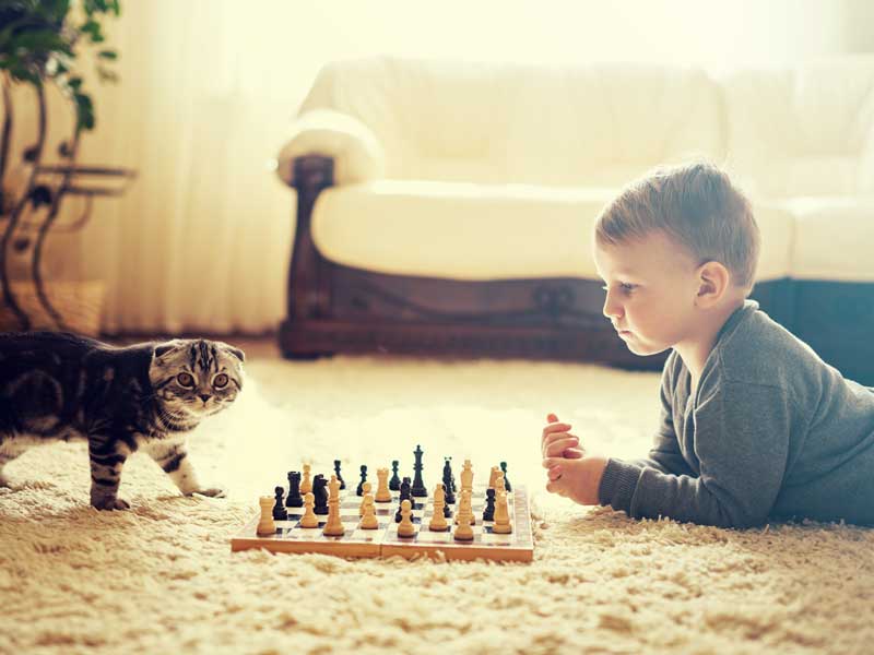 チェスをしている男の子