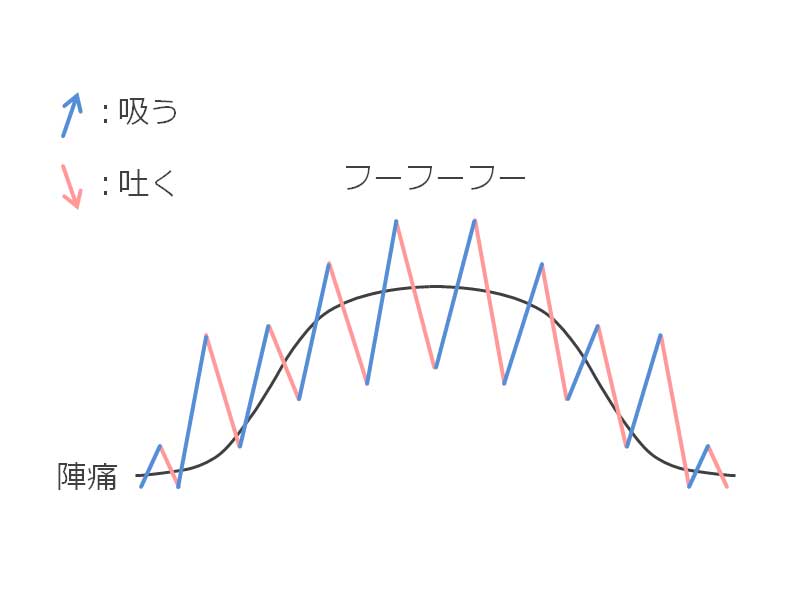 出産準備期の呼吸法