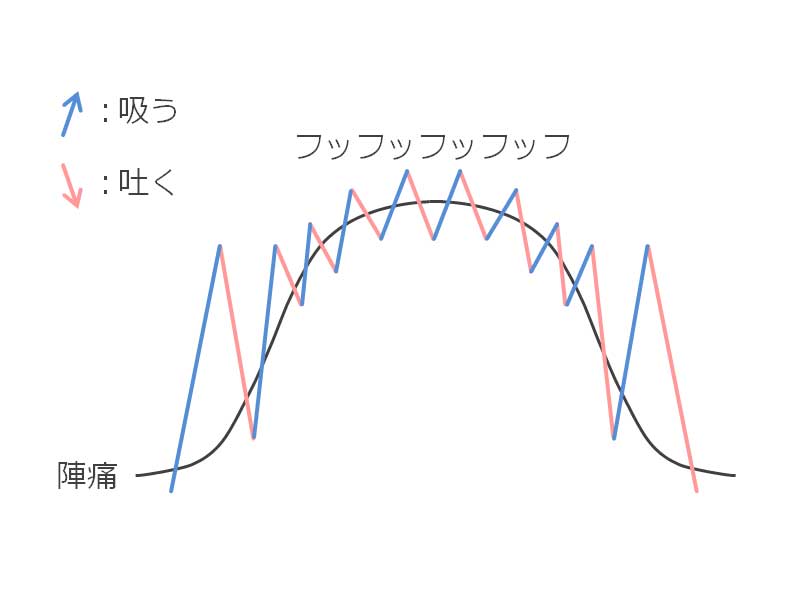 出産進行期の呼吸法イラスト