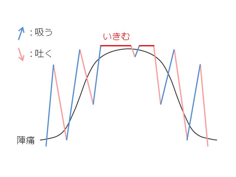 出産娩出期の呼吸法イラスト