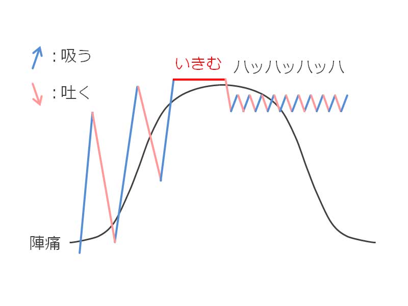 出産発露時の呼吸法イラスト