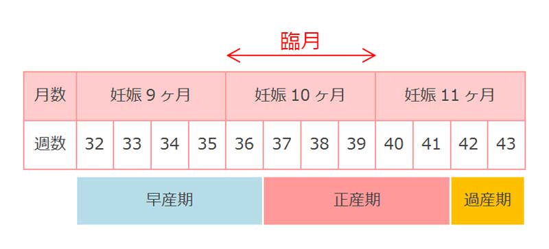 臨月期間表