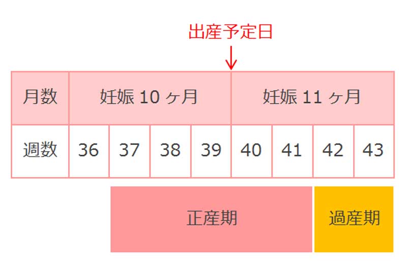 過期産の妊娠週数関係グラフ