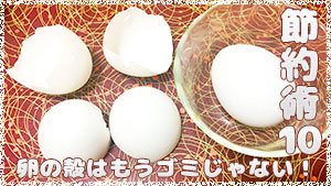 卵の殻の再利用による節約術10～ゴミでムダをカット