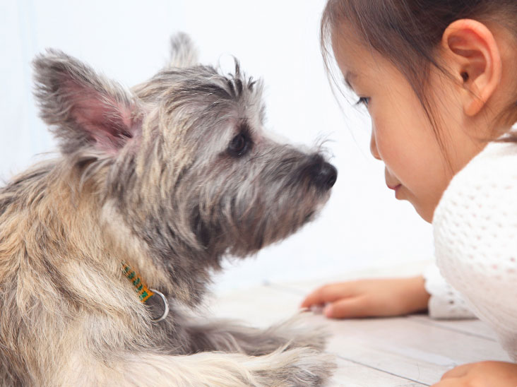 小犬と見つめ合う女の子