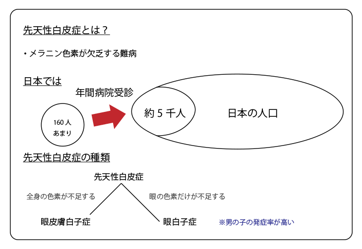 アルビノについてイメージ