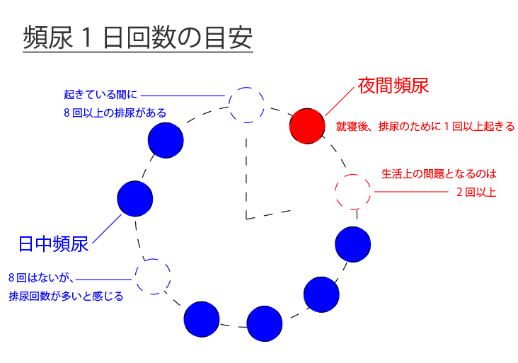 頻尿1日回数の目安イラスト