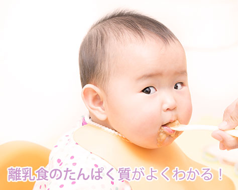 離乳食のたんぱく質はいつから？進め方と食材・量の目安をやさしく解説