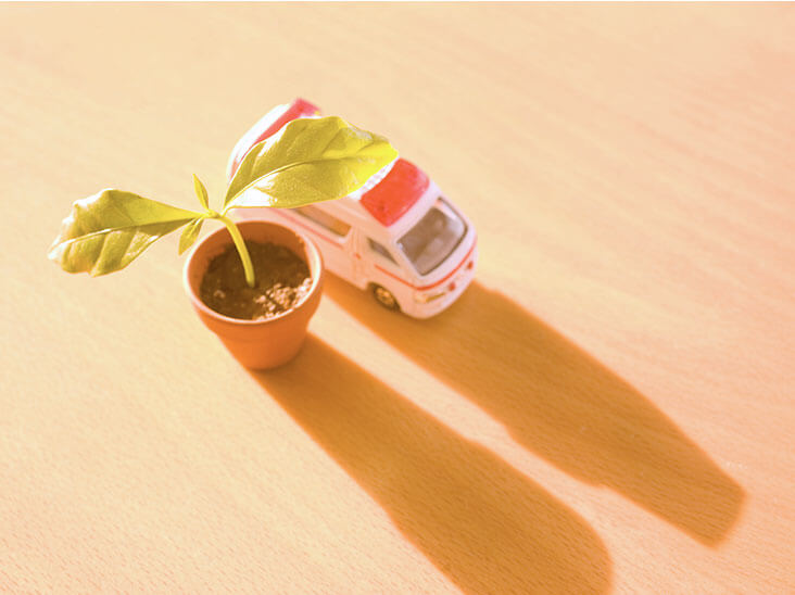 植木鉢の新芽と救急車