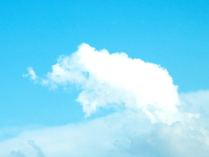 空に浮かぶ像の形をした雲