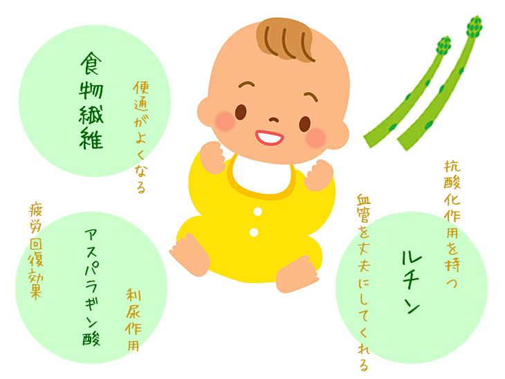 アスパラガスの栄養素の効果イメージ