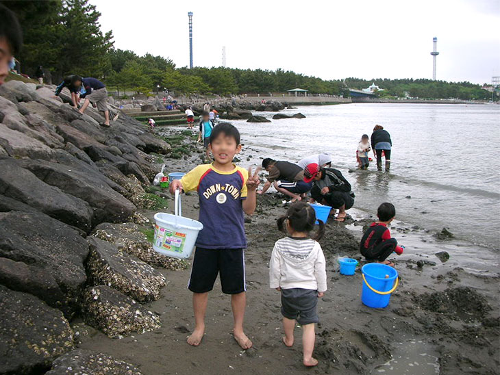 潮干狩りをする子供の写真