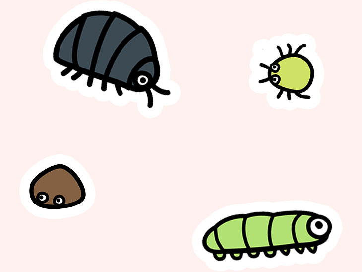 虫のイラスト