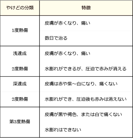 やけどの分類と特徴の表
