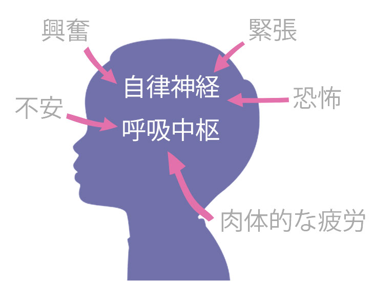 自律神経と呼吸中枢が受ける影響のイラスト