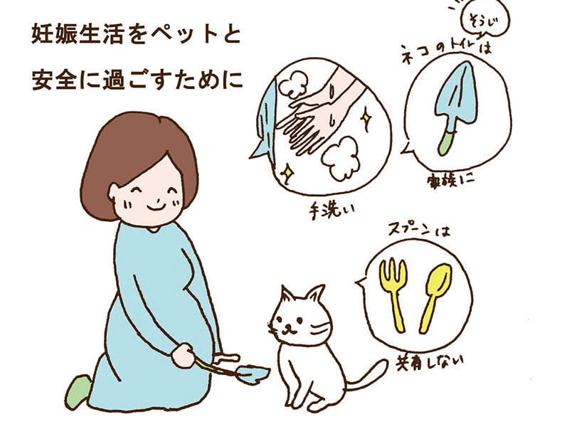 妊娠中のペットと過ごすための注意点の図解