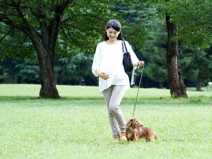 犬の散歩をする妊婦さん